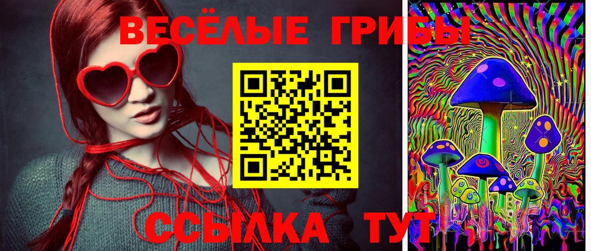 Псилоцибиновые грибы Cubensis Красногорск