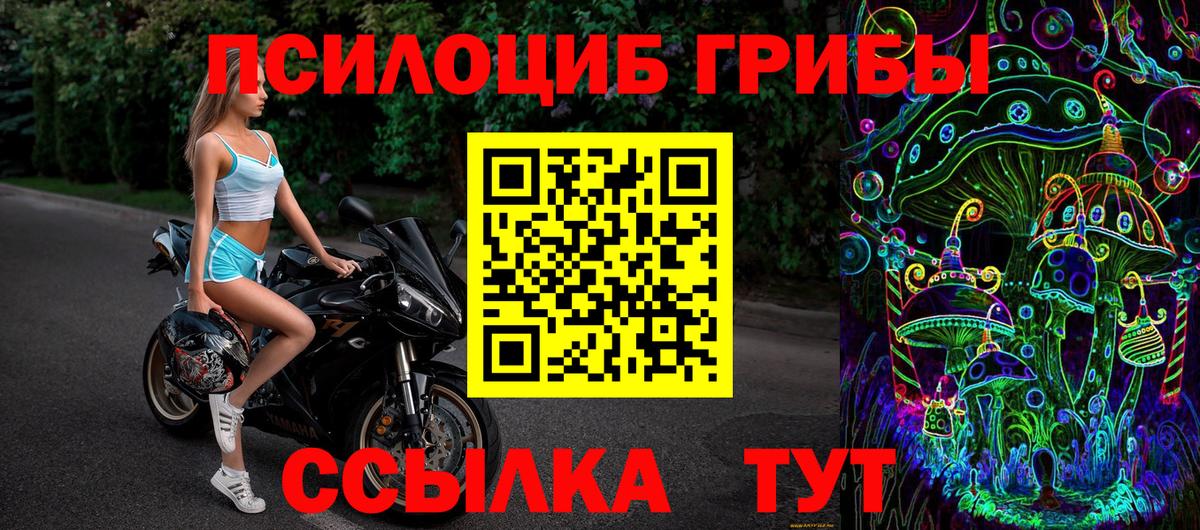Красногорск  Галлюциногенные грибы Psilocybe  Галлюциногенные грибы мицелий  Вход с VPN 